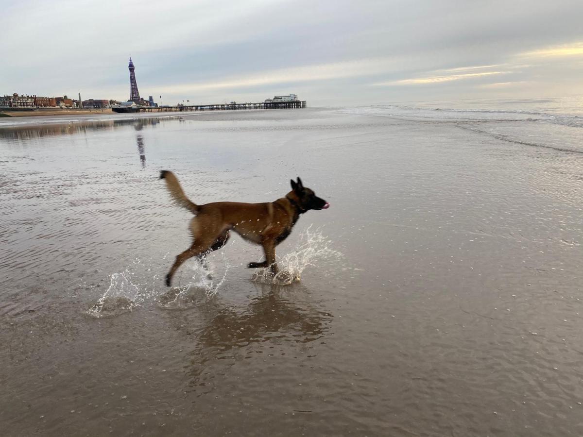 The Mayfield Hotel Blackpool Eksteriør bilde